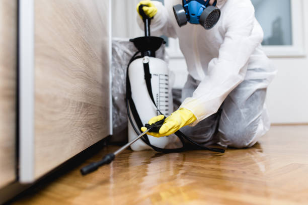 Best Cockroach Control Services  in Fortuna, CA