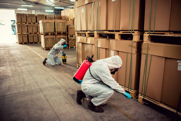Best Rat Extermination Near Me  in Fortuna, CA