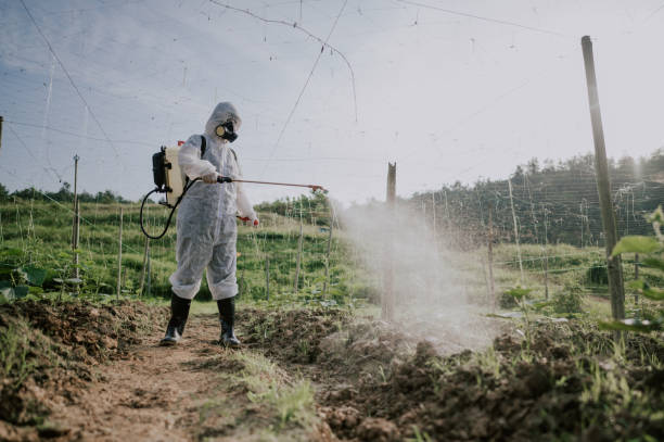Best Pest Control Cost  in Fortuna, CA