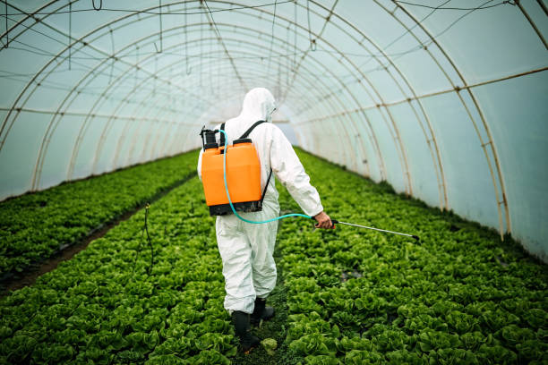 Best Residential Pest Control  in Fortuna, CA
