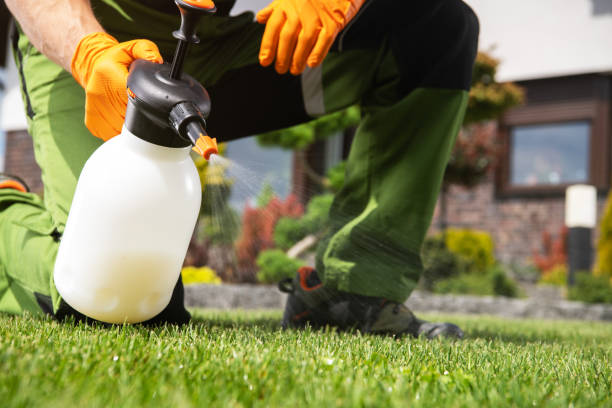 Best Insect Control  in Fortuna, CA
