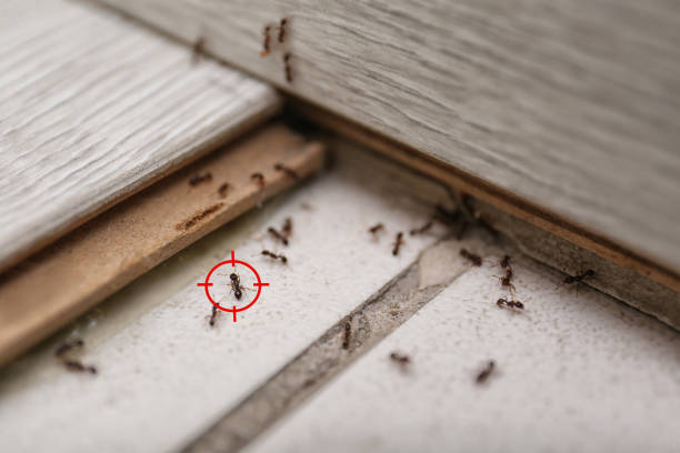 Best Pest Removal Services  in Fortuna, CA