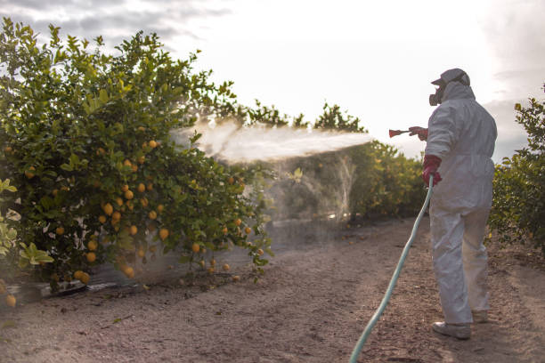 Best Affordable Pest Control Services  in Fortuna, CA
