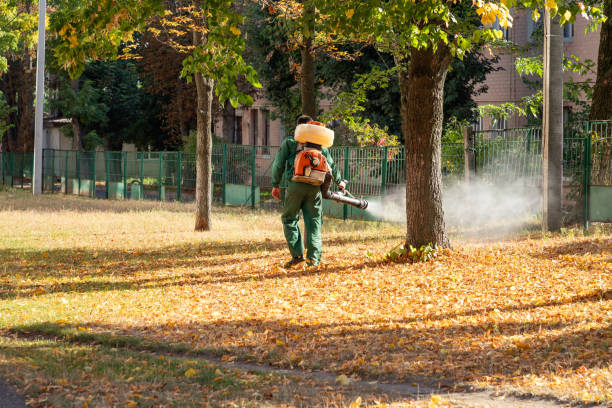 Professional Pest Control in Fortuna, CA