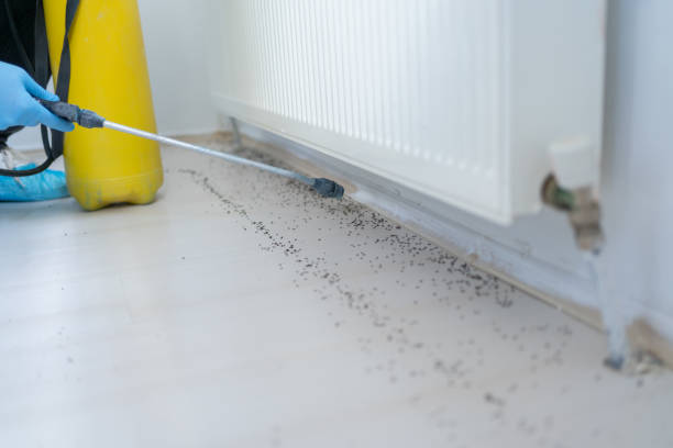 Best Best Pest Control Companies  in Fortuna, CA