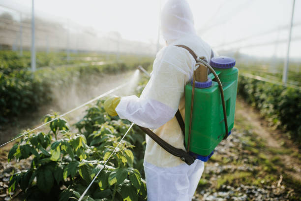 Insect Control in Fortuna, CA